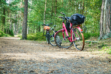 Fototapeta na wymiar bike tour through the forest on the Darss. Break and parked bike