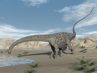Obraz na płótnie Canvas Diplodocus dinosaur drinking in the desert - 3D render