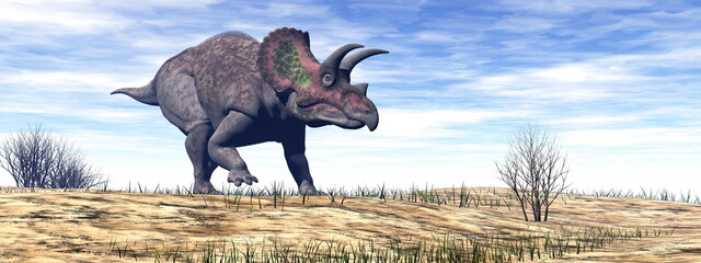 Triceratops dinosaur in the desert - 3D render © Elenarts