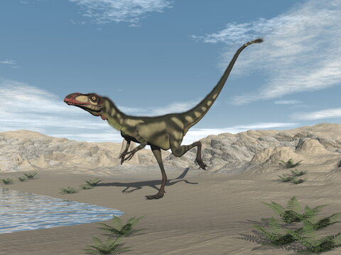 Dilong dinosaur in the desert - 3D render