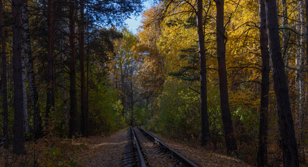 Fototapeta na wymiar an abandoned narrow-gauge railway in the forest in autumn