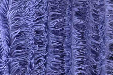 Closeup of waves of decorative colored nap as blank background