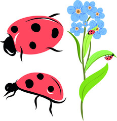 Vector Ladybug illustration with blue flower