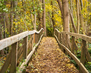 Bridge covered with dead leaves on a walking path around Laacher See near Andernach, Germany in the Eifel region on a fall day.