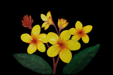 Yellow flowers on black background