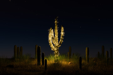 cactus decorated with Christmas lights - obrazy, fototapety, plakaty