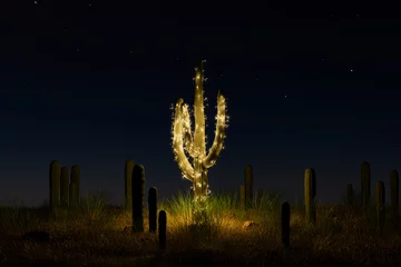 Foto op Canvas cactus decorated with Christmas lights © TheCatEmpire Studio