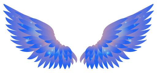 Beautiful bright blue glittery angel wings, color vector illustration