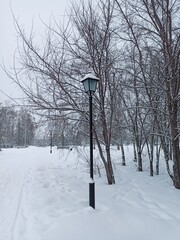  lantern in the park in winter