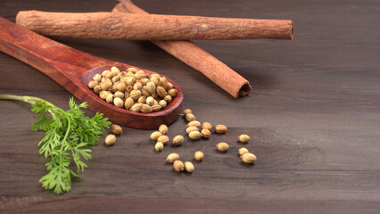 Dry coriander seeds with small bamboo spoon and green fresh bunch coriander leaves,famous spices ingredients in asia's kitchen.