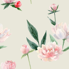 Peony flowers. Peonies flower.