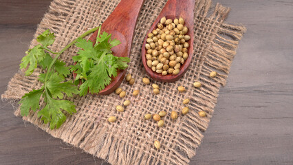 Dry coriander seeds with small bamboo spoon and green fresh bunch coriander leaves,famous spices ingredients in asia's kitchen.