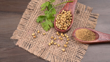 Dry coriander seeds with small bamboo spoon and green fresh bunch coriander leaves,famous spices ingredients in asia's kitchen.