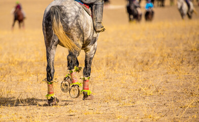 Horses are large. Harnessed and saddled, the horses are tied to a stall in a green meadow....