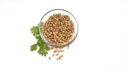 Dry coriander seeds with small bamboo spoon and green fresh bunch coriander leaves,famous spices ingredients in asia's kitchen.