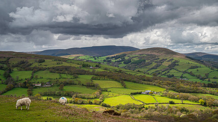 The rolling agricultural hills of mid Wales. The landscape is Talybont, on a cloudy day, with a...