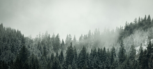 Amazing mystical rising fog sky forest snow snowy trees landscape snowscape in black forest (...