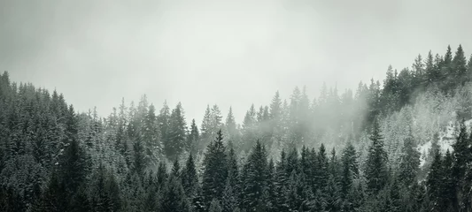 Raamstickers Verbazingwekkende mystieke stijgende mist lucht bos sneeuw besneeuwde bomen landschap sneeuwlandschap in het Zwarte Woud (Schwarzwald) winter, Duitsland panorama banner - mystieke sneeuw stemming © Corri Seizinger