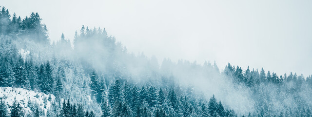 Amazing mystical rising fog sky forest snow snowy trees landscape snowscape in black forest ( Schwarzwald ) winter, Germany panorama banner - mystical snow mood - obrazy, fototapety, plakaty