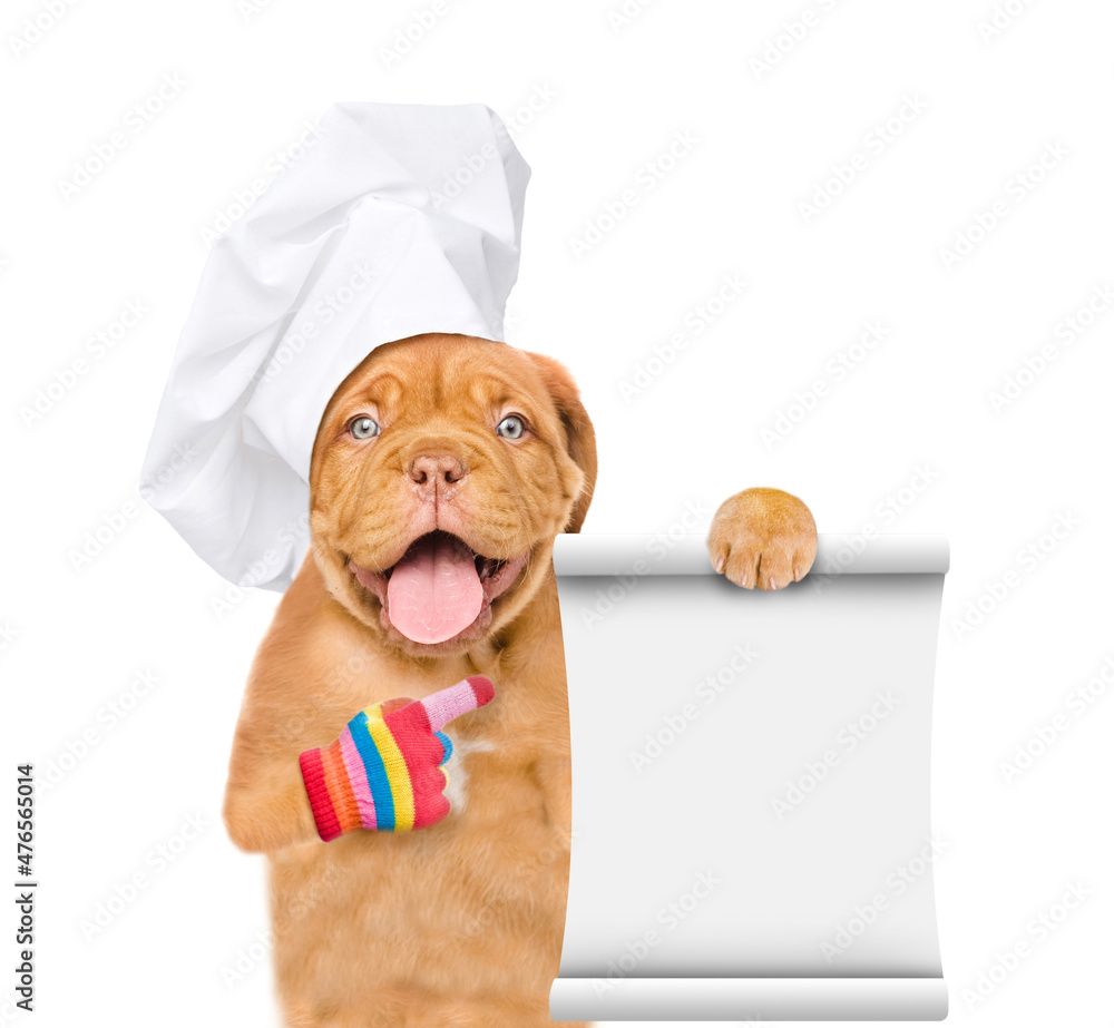 Aufkleber happy mastiff puppy wearing chef's hat points on empty list. isolated on white background