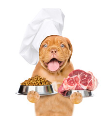 Happy puppy wearing chef's hat holds bowls with dry dogs food and raw meat. isolated on white...