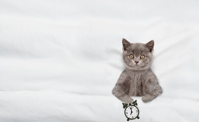 Funny kitten holds alarm clock and lies under white blanket on a bed at home. Top down view. Empty...