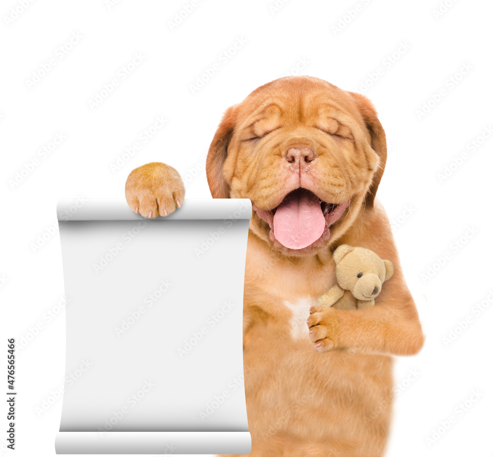 Poster sleepy mastiff puppy with closed eyes hugs toy bear and shows empty list. isolated on white backgrou