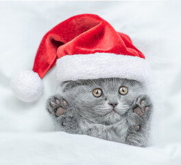 Cute kitten wearing red santa's hat lies under a white blanket on a bed. Top down view