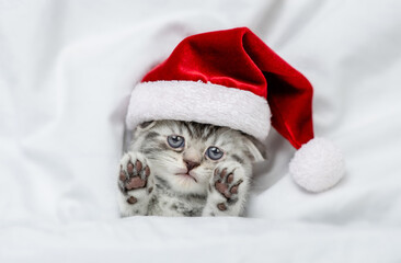 Funny kitten wearing red santa's hat lies under a white blanket on a bed. Top down view