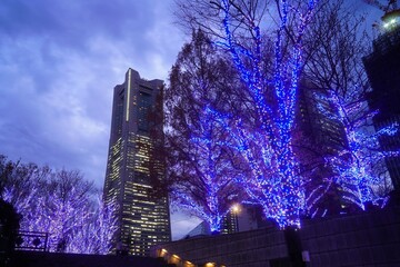 横浜みなとみらいのクリスマスイルミネーション