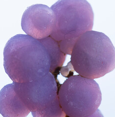 .grape agate mineral specimen stone rock geology gem crystal