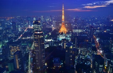 Obraz premium 東京ナイトビュー