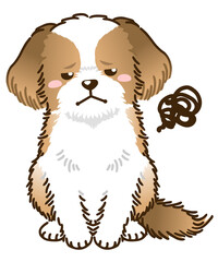 不満があるシーズー（ゴールド＆ホワイト）