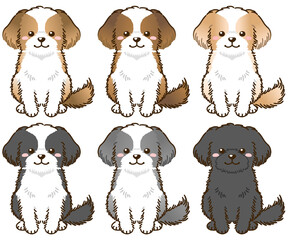 いろいろな毛色のシーズー