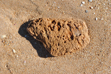 Close Up of Small Stone on Wet Sand on Beach 