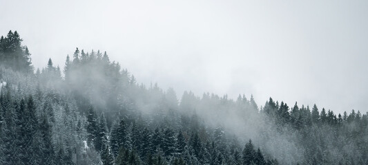 Amazing mystical rising fog sky forest snow snowy trees landscape snowscape in black forest (...