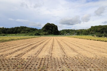 田舎の風景