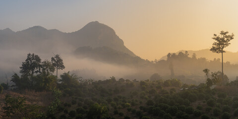 Scenic sunrise landscape view with fog in rural valley in the beautiful mountains of Chiang Dao, Chiang Mai, Thailand