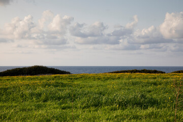  sea and field of green grass