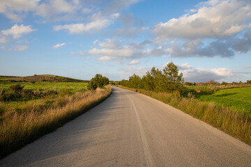 An asphalt road among meadows