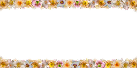Cadre de fleurs multicolores sur fond blanc