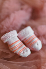 Fototapeta na wymiar pink baby socks on a rose background