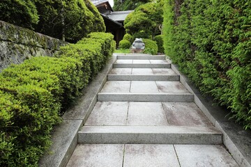 奈良のｎバラ園