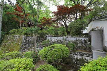 奈良のｎバラ園
