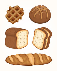 Bakery Toast Breakfast Bread Food Vector Set Illustration