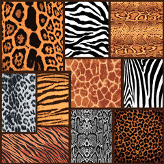 Animalistic pattern.Tiger, snake, zebra, leopard, giraffe 