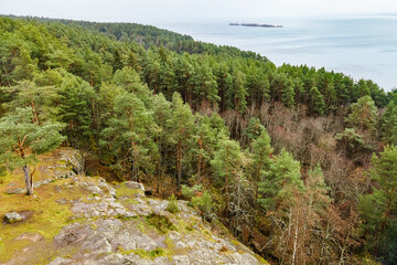 Russia, Petrozavodsk. Dense green forest and rocky cliffs in the botanical garden. The Devil's Chair tract is under the highest mountain Bolshaya Vaara.