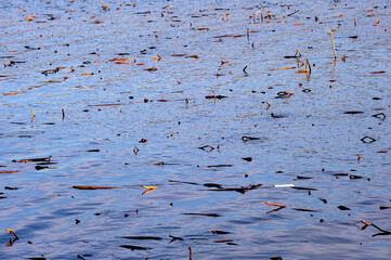 A backdrop of freshly melted river water and debris in winter