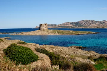 Foto auf Acrylglas Strand La Pelosa, Sardinien, Italien L'isola La Pelosa con la sua torre