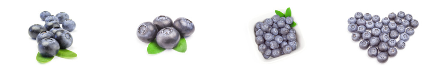 Collection of whortleberry isolated on a white background